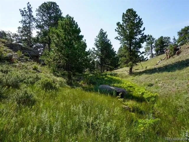 0 Stub Court Livermore, CO 80536