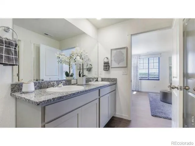 5740 Gelbray Place Windsor, CO 80528