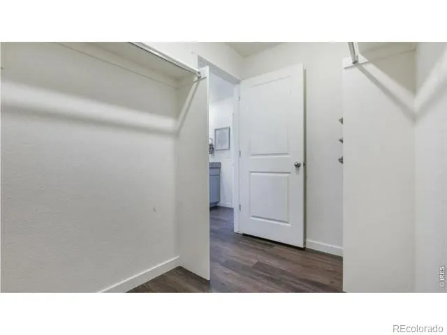 5740 Gelbray Place Windsor, CO 80528