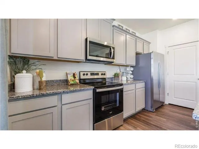 5740 Gelbray Place Windsor, CO 80528