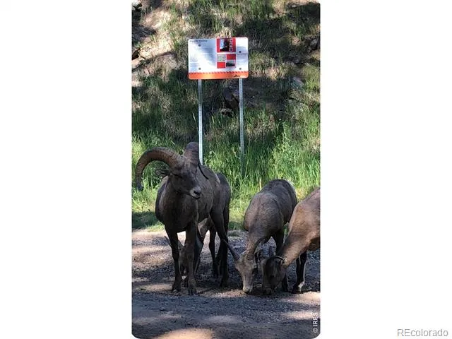 438 Aspen Drive Lyons, CO 80540