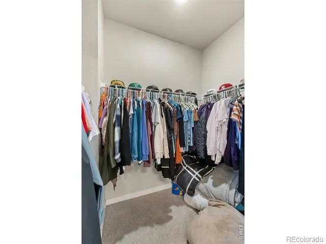 1209 Coyote Lane Wiggins, CO 80654