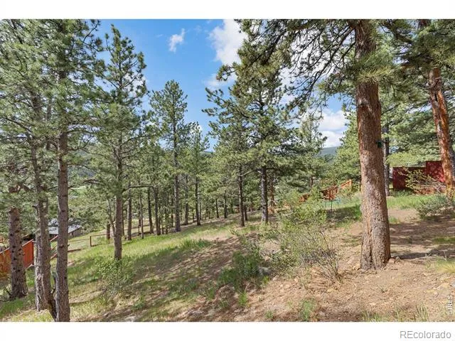 2 King Place Nederland, CO 80466