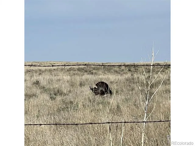 26247 County Road 2 Orchard, CO 80649