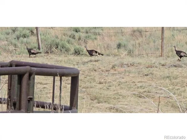 26247 County Road 2 Orchard, CO 80649