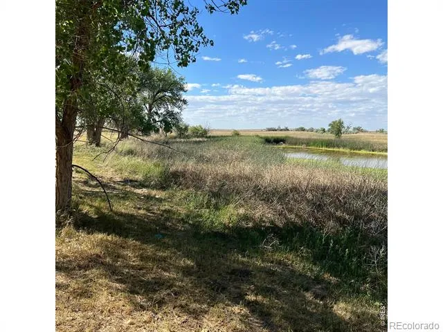 26247 County Road 2 Orchard, CO 80649