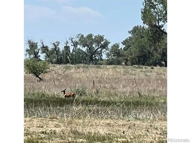 26247 County Road 2 Orchard, CO 80649