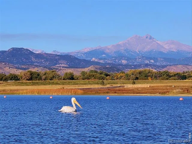 2224 Spindrift Drive Longmont, CO 80503