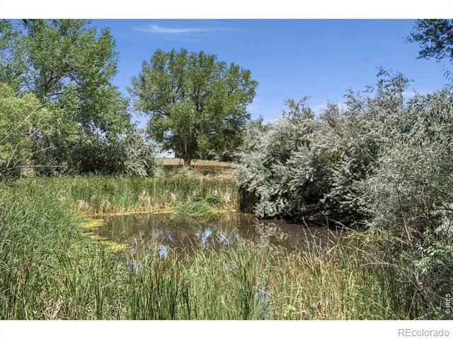 6291 County Road 20 Longmont, CO 80504