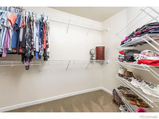 279 Bittern Drive Johnstown, CO 80534
