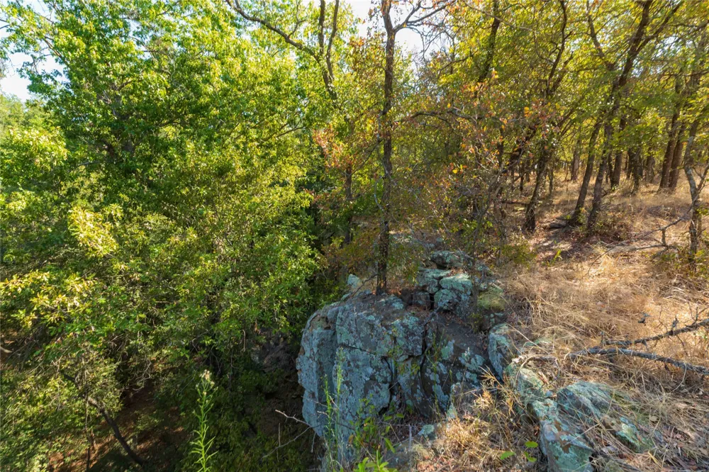 1282 CR 461 Gorman, TX 76454