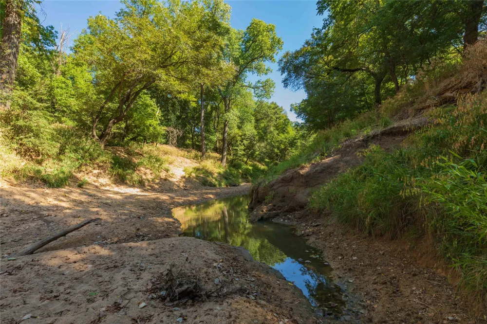 1282 CR 461 Gorman, TX 76454