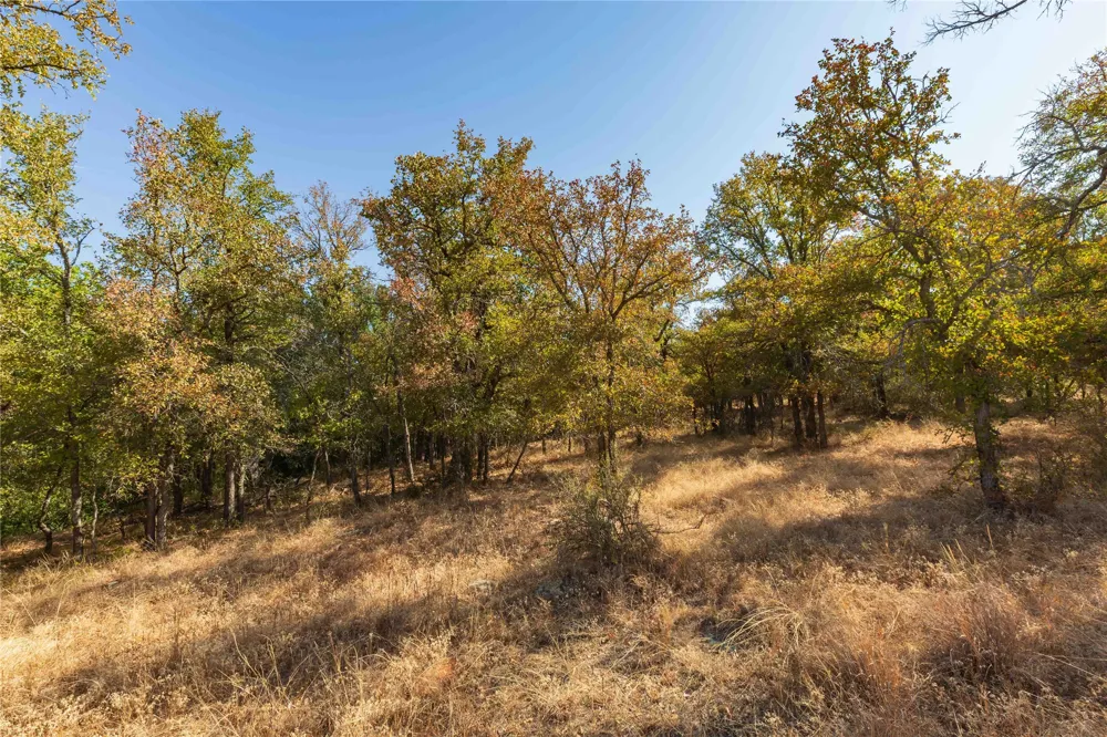 1282 CR 461 Gorman, TX 76454