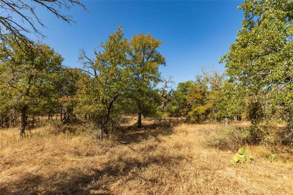 1282 CR 461 Gorman, TX 76454