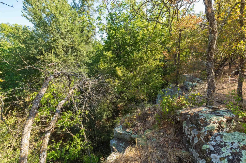 1282 CR 461 Gorman, TX 76454