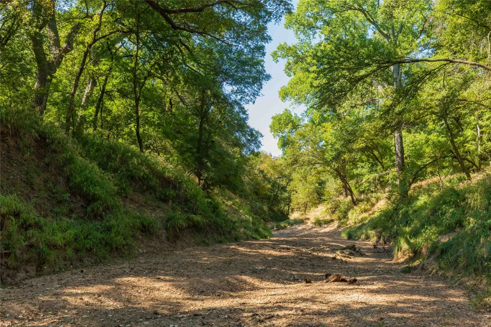 1282 CR 461 Gorman, TX 76454