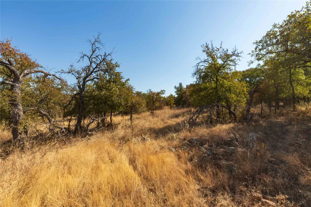 1282 CR 461 Gorman, TX 76454