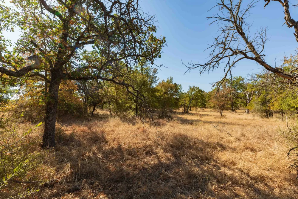 1282 CR 461 Gorman, TX 76454