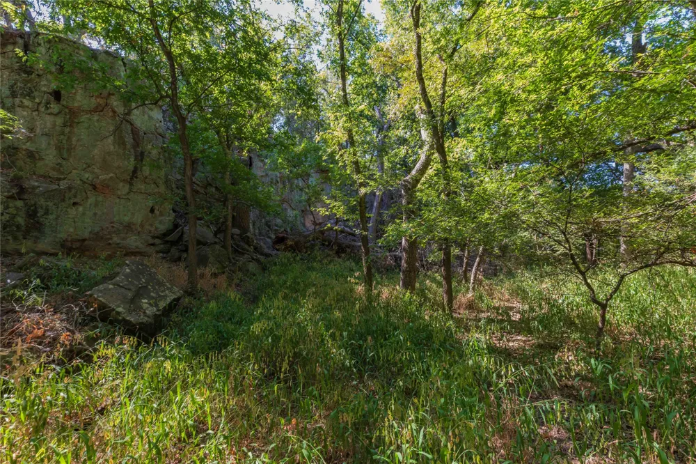 1282 CR 461 Gorman, TX 76454