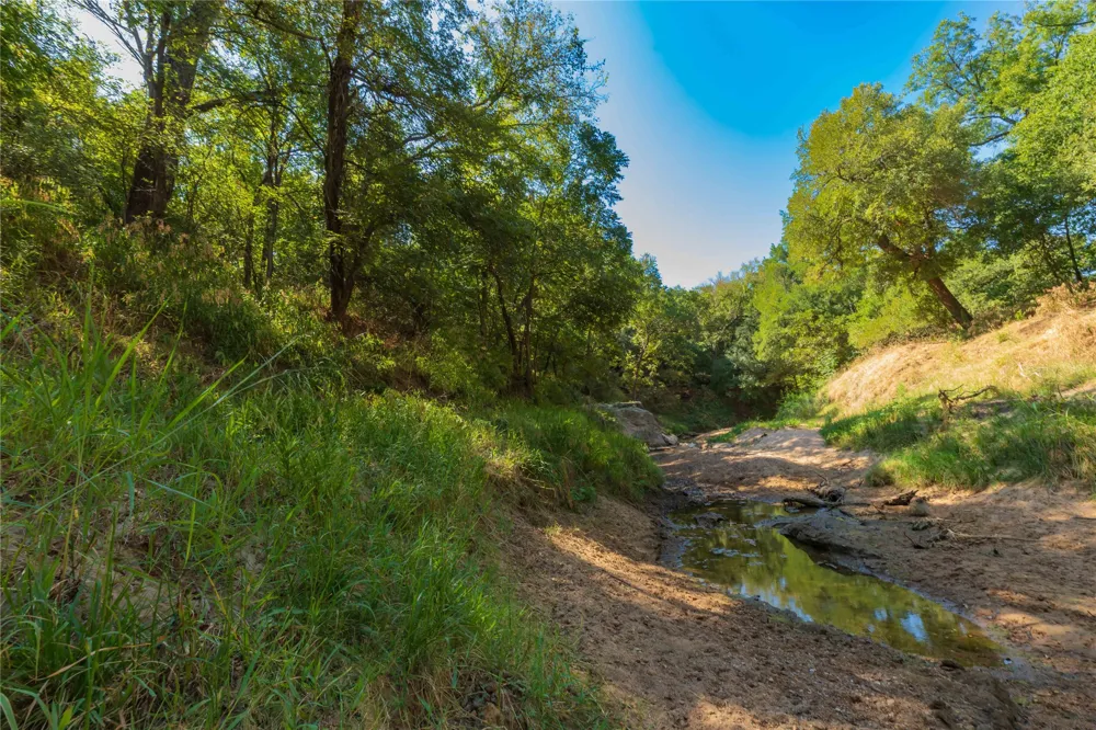 1282 CR 461 Gorman, TX 76454