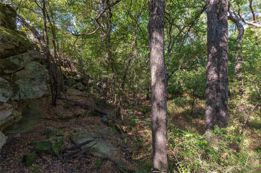 1282 CR 461 Gorman, TX 76454