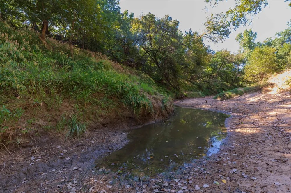 1282 CR 461 Gorman, TX 76454