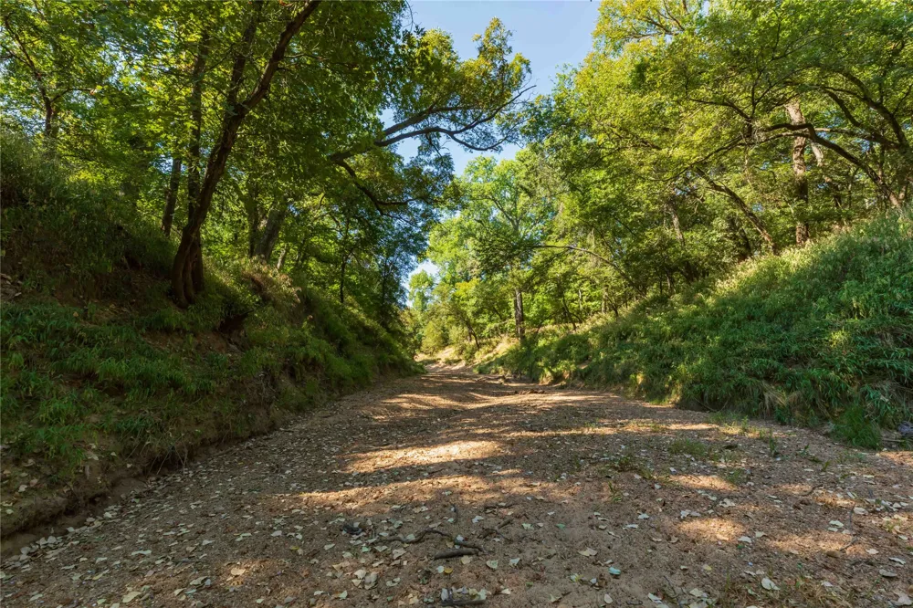 1282 CR 461 Gorman, TX 76454