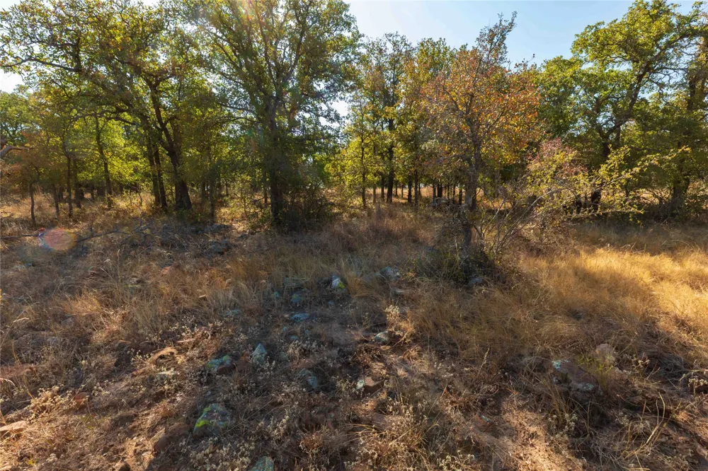 1282 CR 461 Gorman, TX 76454