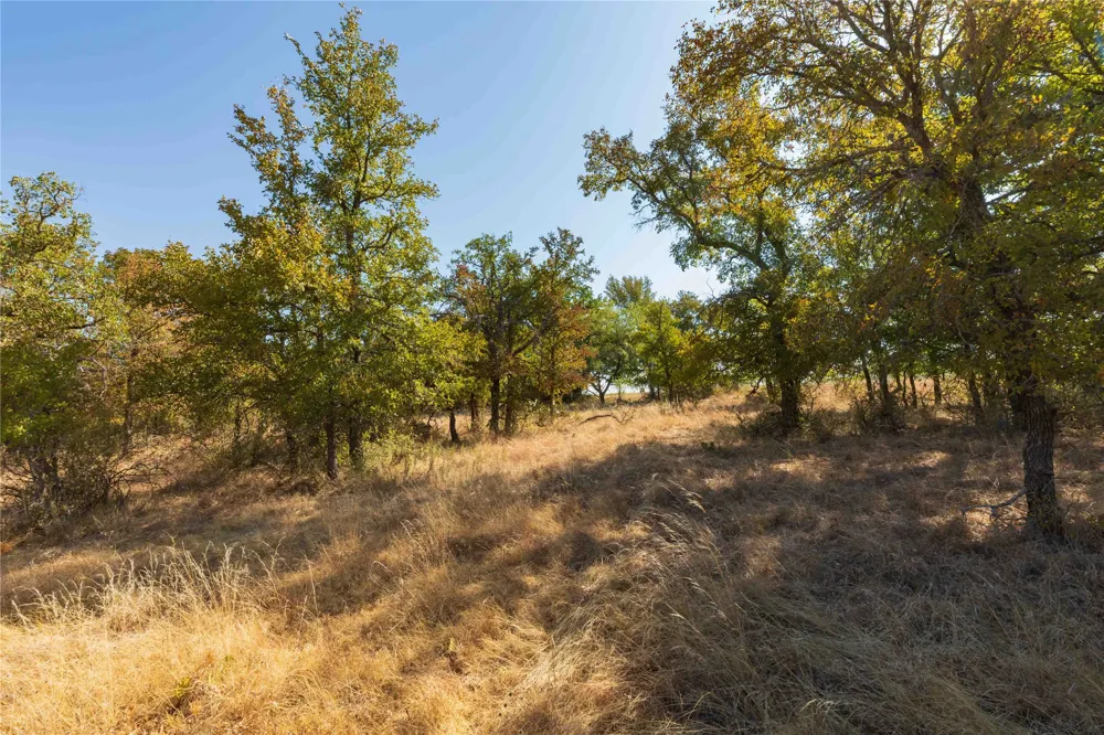 1282 CR 461 Gorman, TX 76454