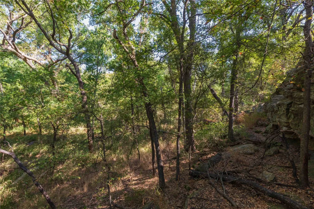 1282 CR 461 Gorman, TX 76454