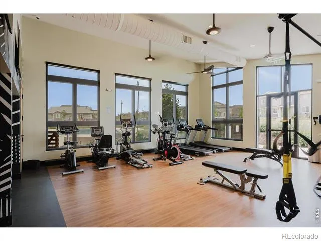 737 Audubon Peak Drive Erie, CO 80516