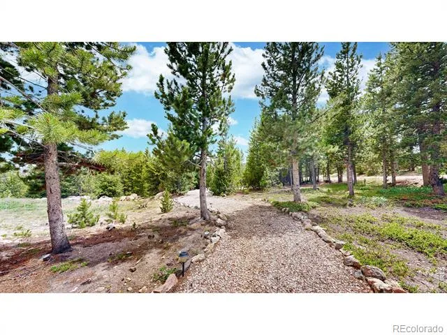 388 Shasta Way Red Feather Lakes, CO 80545