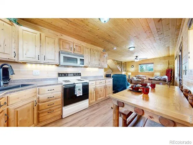388 Shasta Way Red Feather Lakes, CO 80545