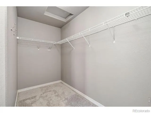 1456 Moraine Valley Drive Severance, CO 80550