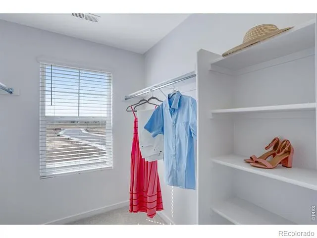 860 Trumpet Lane Windsor, CO 80550