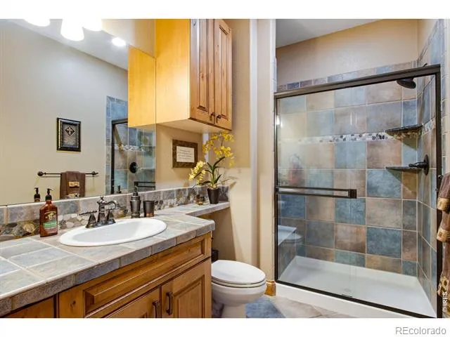 4433 Tierra Alta Drive Castle Rock, CO 80104