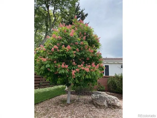 3255 20th Street Boulder, CO 80304