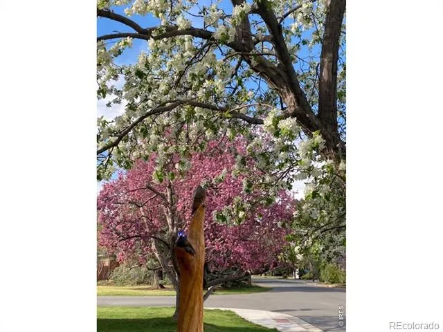 3255 20th Street Boulder, CO 80304