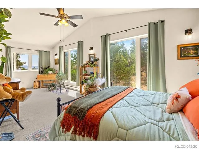 107 Miami Court Red Feather Lakes, CO 80545