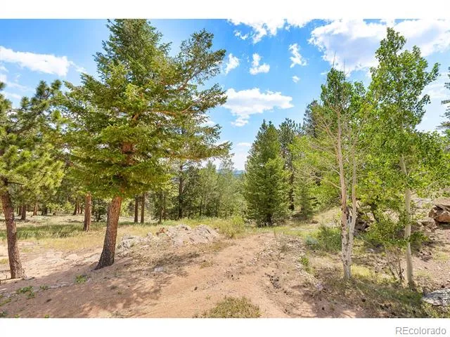107 Miami Court Red Feather Lakes, CO 80545