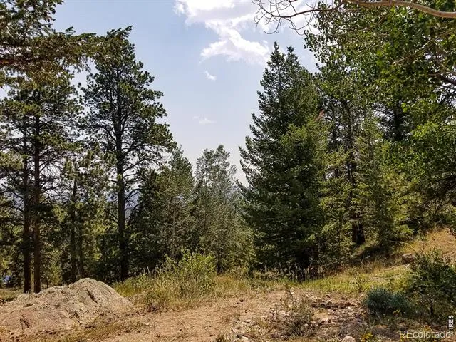 107 Miami Court Red Feather Lakes, CO 80545