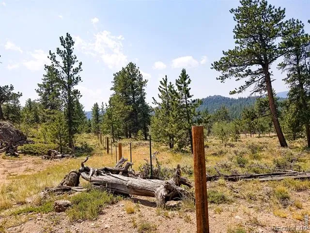 107 Miami Court Red Feather Lakes, CO 80545