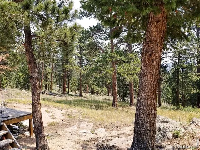 107 Miami Court Red Feather Lakes, CO 80545