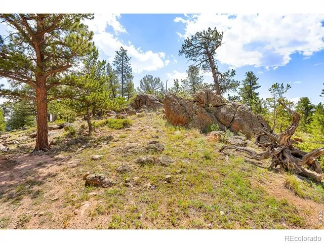 107 Miami Court Red Feather Lakes, CO 80545