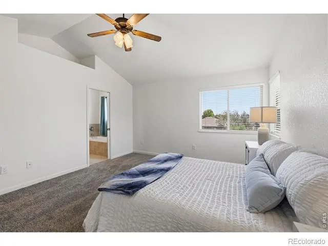 1709 Green River Drive Windsor, CO 80550
