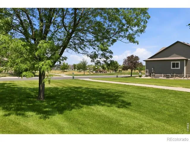 1709 Green River Drive Windsor, CO 80550