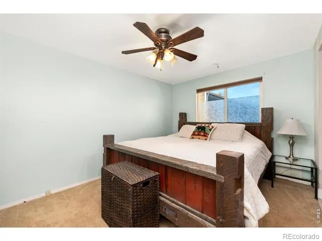 135 Sunflower Drive Windsor, CO 80550