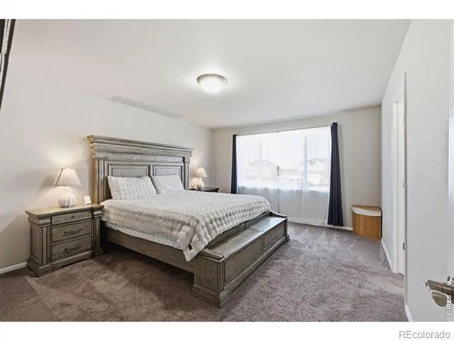 385 Littlebrook Court Windsor, CO 80550
