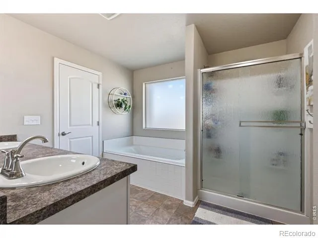 385 Littlebrook Court Windsor, CO 80550