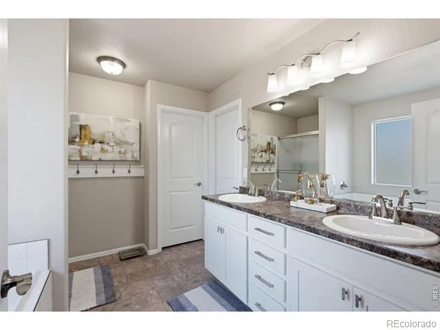 385 Littlebrook Court Windsor, CO 80550